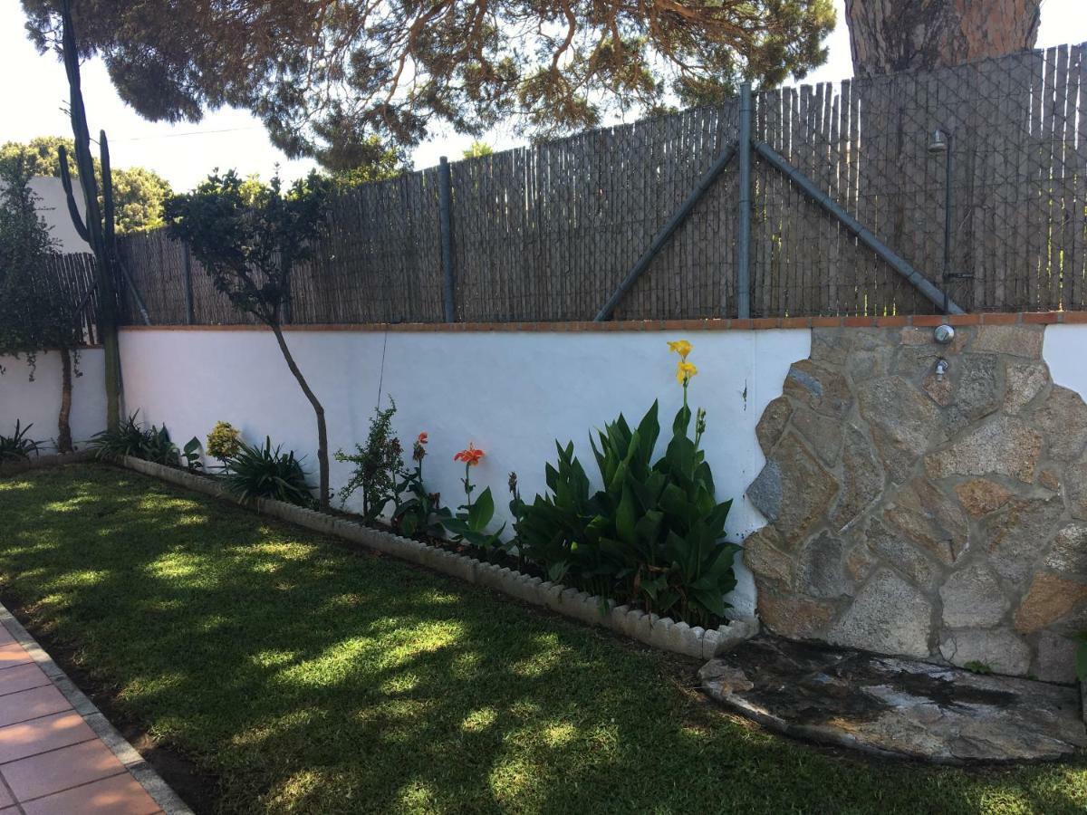 Villa Gallardo - Cerca Playa Y Pueblo - Solo Parejas O Familias Коніль-де-ла-Фронтера Екстер'єр фото